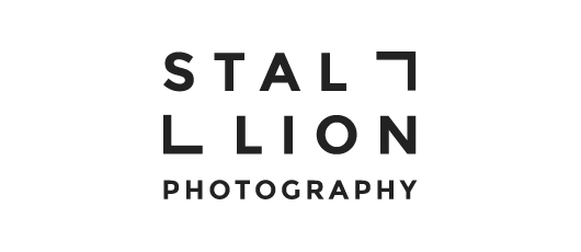 Stallion logo